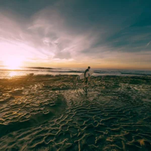 Nam sed tellus id magna elementum tincidunt Nam sed tellus id magna elementum tincidunt